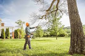 Best Utility Line Clearance  in Breezy Point, MN